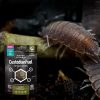 Arcadia EarthPro Custodian Fuel 80g custodian insect and gutloading food
