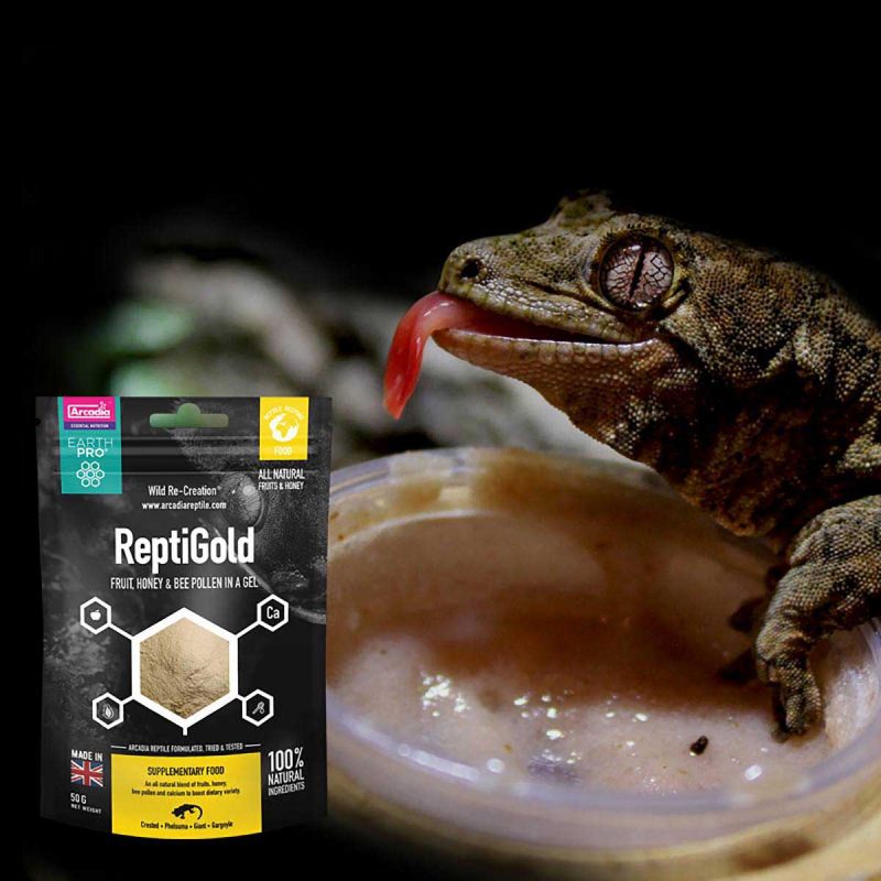 Crested Gecko Foods, Vitamins and Supplements Serpentia