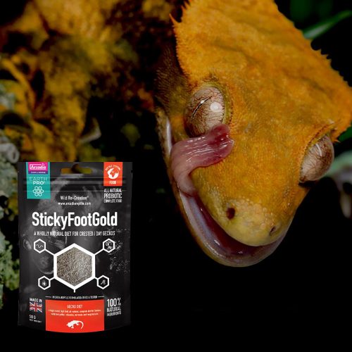 Arcadia EarthPro Stickyfoot Gold Complete Food for Crested Gecko