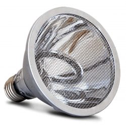 deep heat projector arcadia