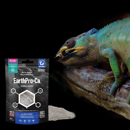 Arcadia Reptile Calcium Powder, EarthPro CA 100g Pouch For All Reptiles