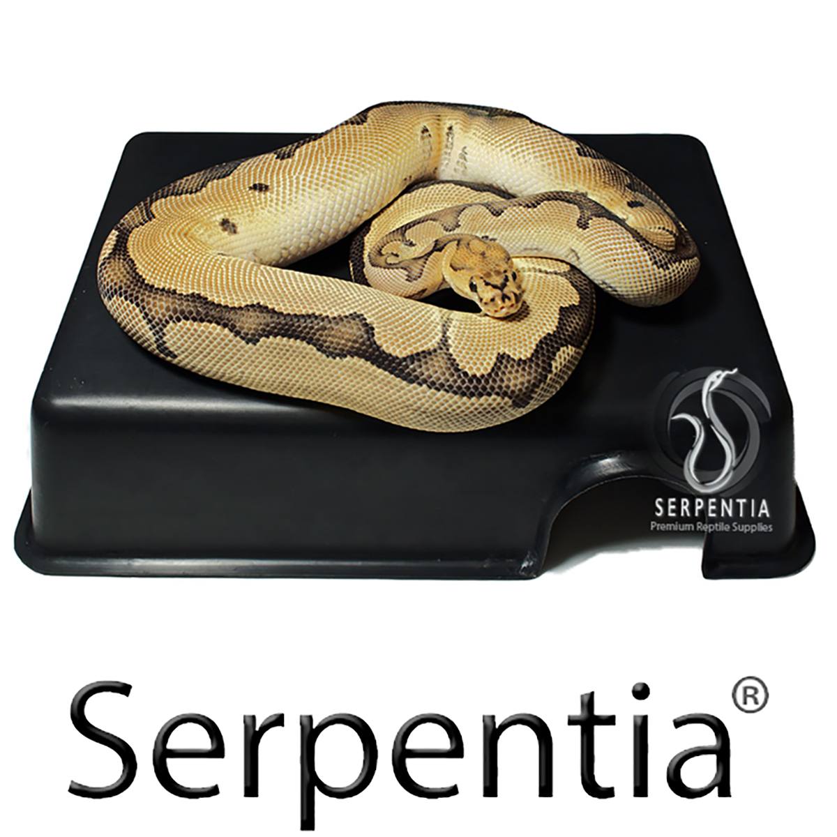 Black Plastic Reptile Hides Serpentia Plastic Reptile Hides