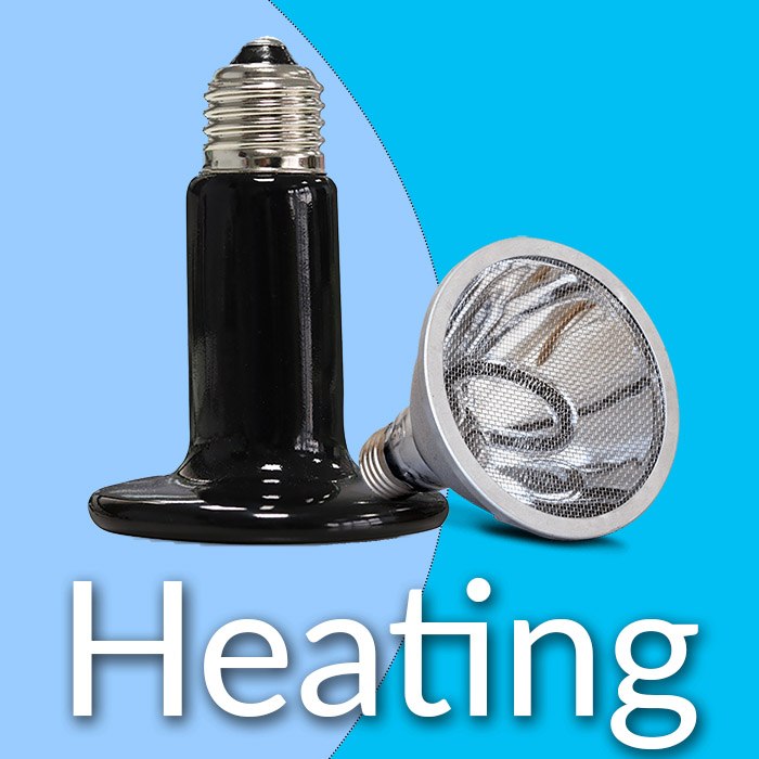 Reptile Heating Equipment Buy Online with Free Delivery Serpentia