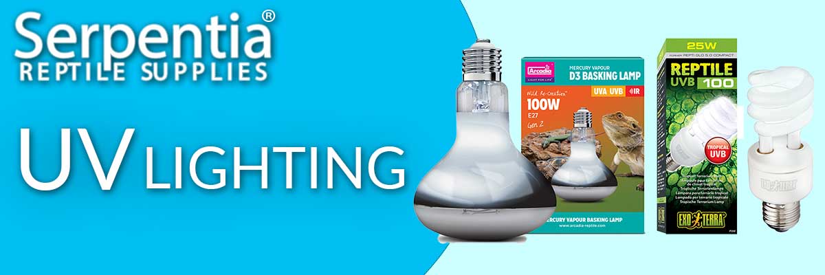 d3 basking lamp 100w
