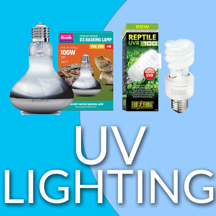 Reptile UV Lighting Free Delivery on Arcadia and Exo Terra Serpentia
