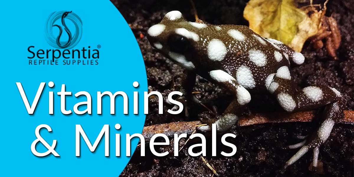 Reptile Vitamins and Mineral Supplements Serpentia