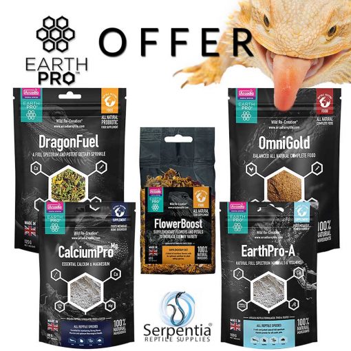 Arcadia EarthPro Bearded Dragon Food, Reptile Vitamins and Calcium Offer