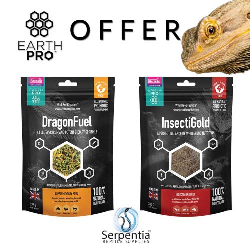 Arcadia EarthPro Dragon Fuel and InsectiGold Bearded Dragon Food Offer from Serpentia Reptile Supplies