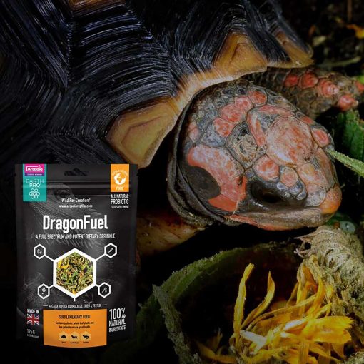 Arcadia EarthPro DragonFuel 125 gram Resealable Pouch Natural Reptile Supplement For Bearded Dragons, Tortoises, Uromastyx