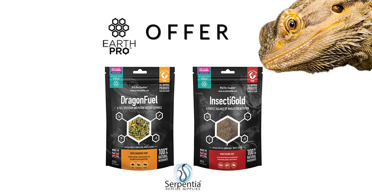 Bearded Dragon Foods - Serpentia Reptile Supplies