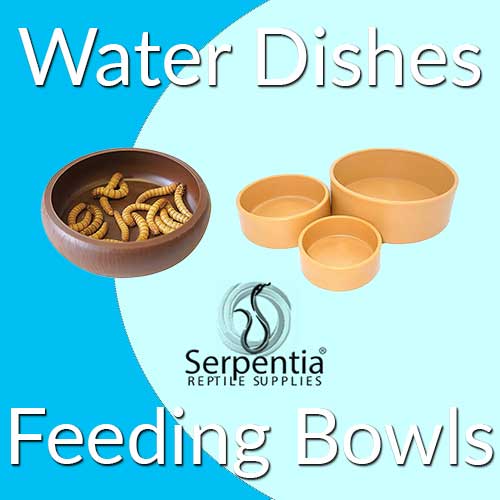 Reptile Water Dishes And Feeding Bowls Serpentia Reptile Supplies
