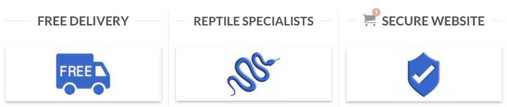 reptile supplies online