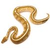 Lithium Fire Male Ball Python For Sale UK
