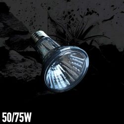 Arcadia Halogen Basking Spotlight Heat Lamp | Reptile Heat Bulb