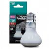 Arcadia Solar Basking Floodlight Heat Lamp | Reptile 75W Heat Bulb
