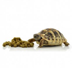 Habistat Dry Tortoise Food Meadow Mix