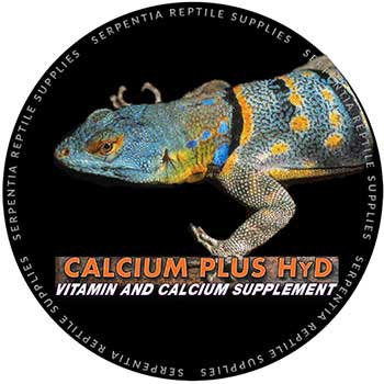 Repashy Superfoods Calcium Plus HyD Vitamin And Calcium Supplement