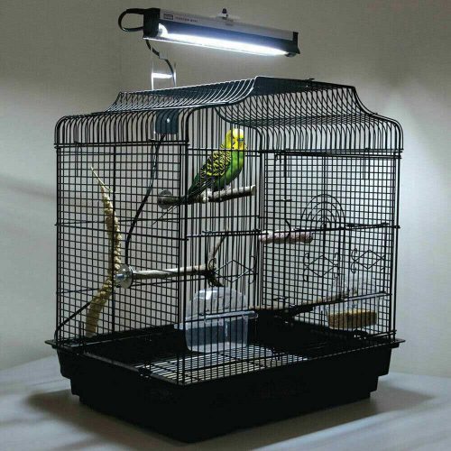 Arcadia PureSun Bird Lamp Kit