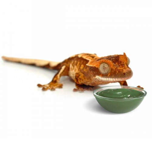 HabiStat Crested Gecko Diet | Banana With Real Fruit | 60g Pot