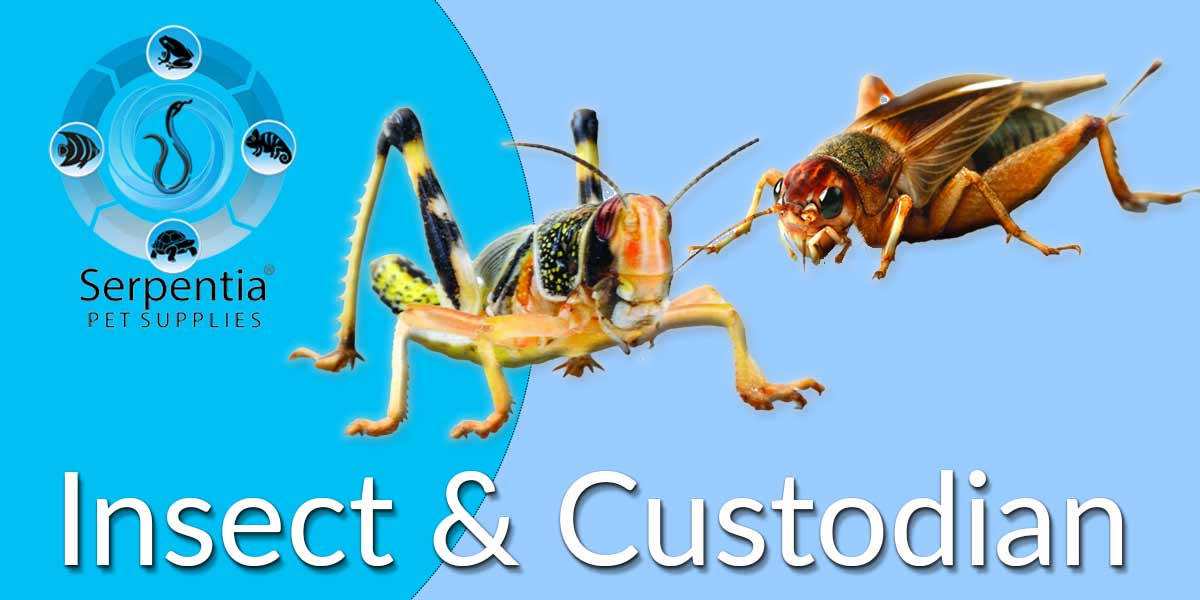 Insect and Custodian Vitamin Foods and Gutloading Supplements