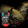 Arcadia EarthPro AmphibiGold | Food For Amphibians, Axolotl, Newts, Frogs and Salamanders