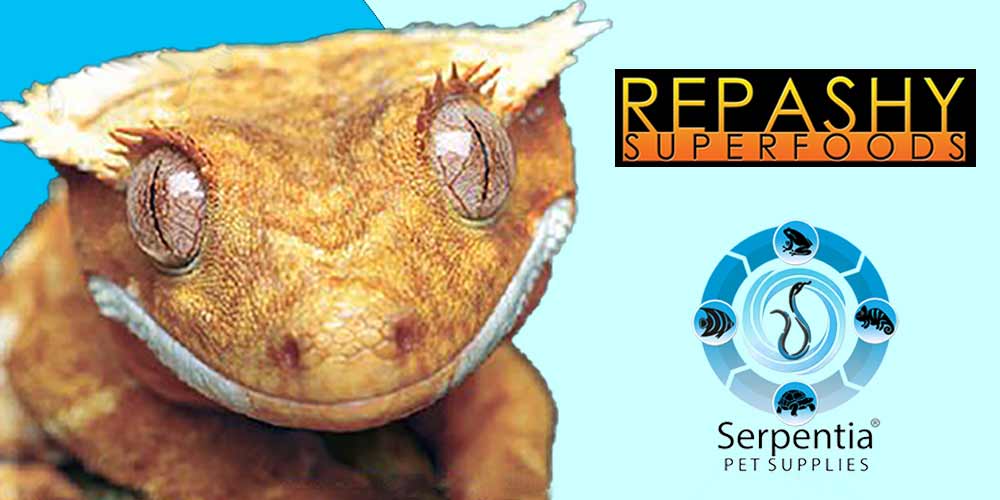 Repashy Superfoods Crested Gecko Complete Diets, Reptile Calcium and All-in-One Reptile Supplements and Reptile Vitamins for Tortoises, Bearded Dragons, Geckos, Skinks, Frogs, Turtles, Chameleons