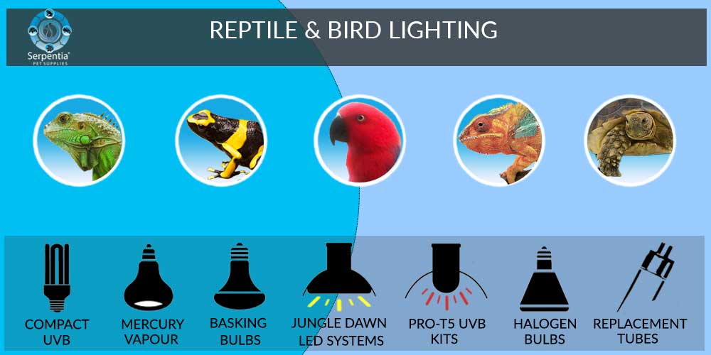 Reptile Lighting Equipment UV Bulbs, Heat Bulbs, Basking D3 Serpentia