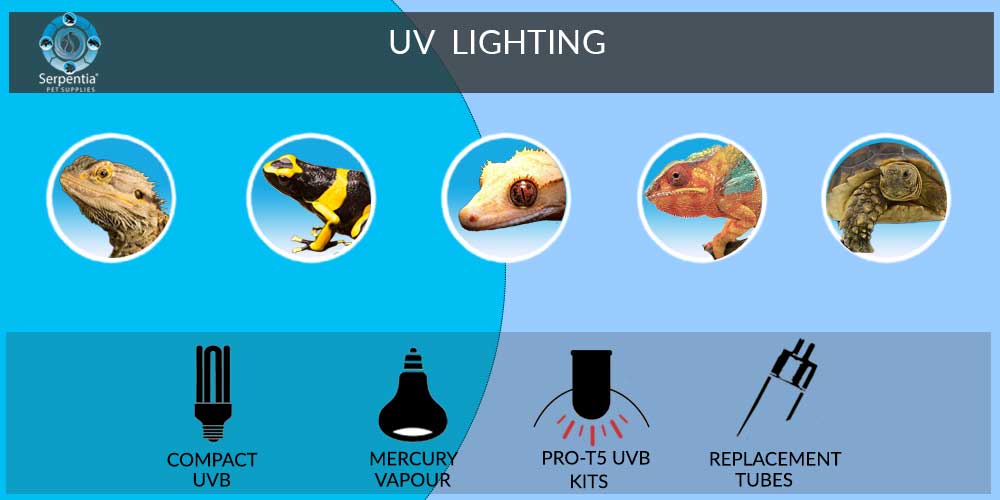Reptile and Bird UV Lighting | Compact UV | Arcadia ProT5 | Mercury Vapour | Replacement UV Tubes