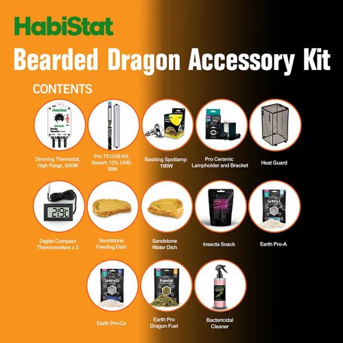 Bearded Dragon Accessory Kit