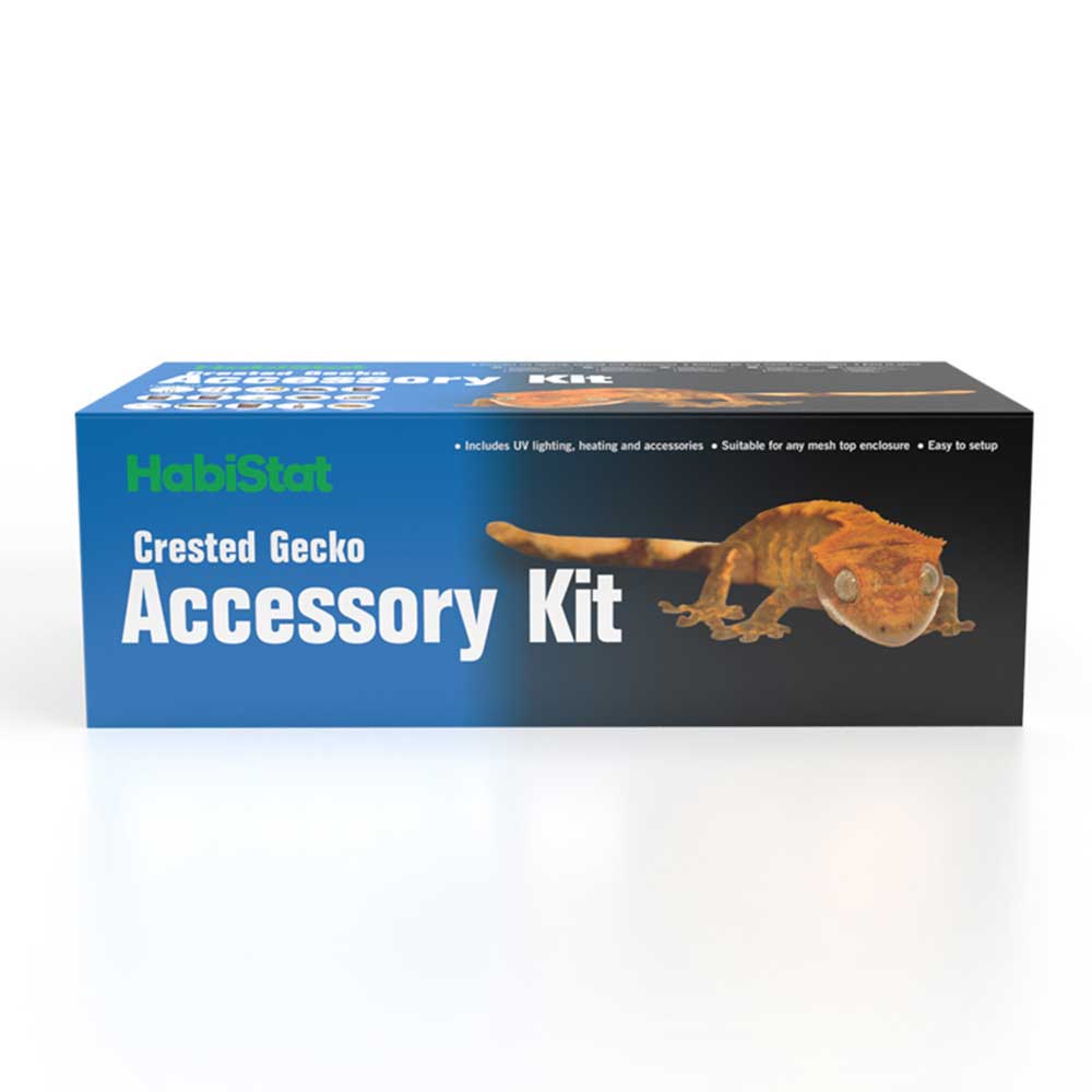 gecko accessories