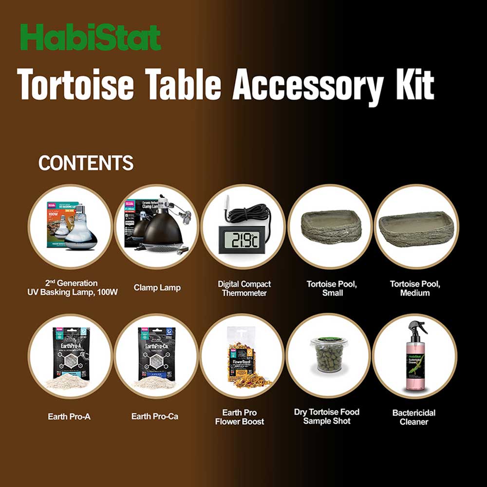 tortoise table accessories
