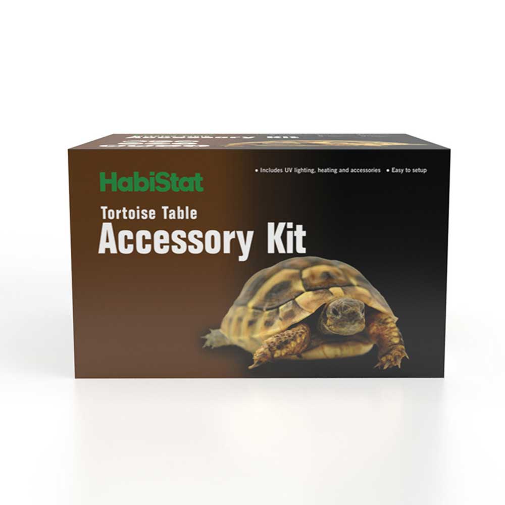 tortoise setup kit