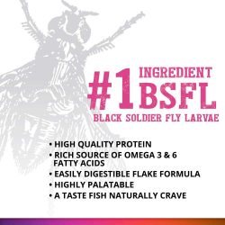 Fluval Bug Bites Colour Enhancing Flakes Fish Food With Black Solider Fly Larvae