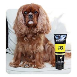 Animology Fox Poo Dog Shampoo Odour and Poo Remover For Dogs