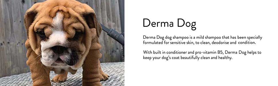Derma Dog Sensitive Skin Dog Shampoo