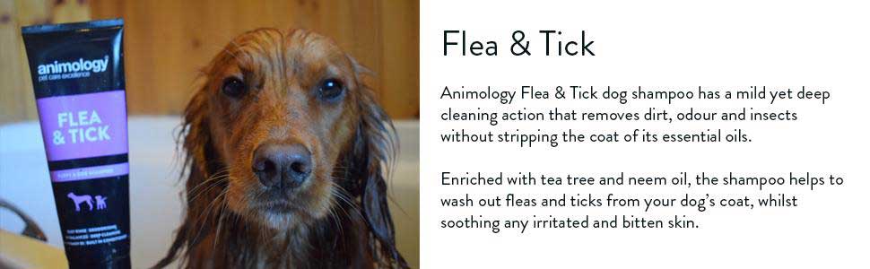 Flea and Tick Puppy and Dog Shampoo