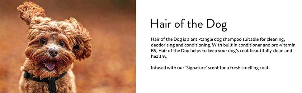 Hair Of The Dog Anti-Tangle Dog Shampoo