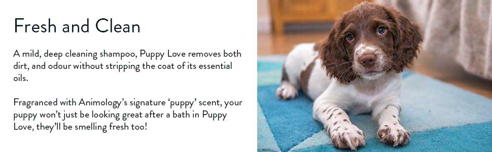 Puppy Love Puppy Shampoo Clean and Fresh