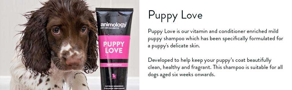 Puppy Love Puppy Shampoo