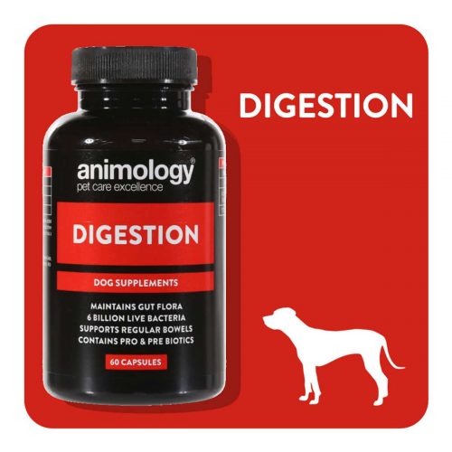Animology Digestion Dog Supplements