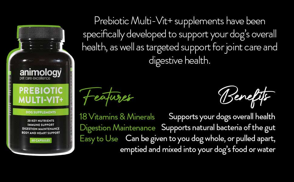 Animology Prebiotic Multi-Vit+ Dog Supplement