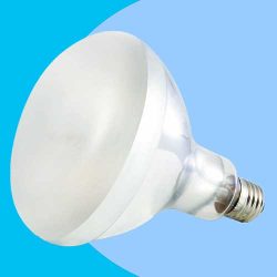 Mercury Vapour D3 UV Basking Lamps