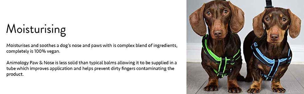 Paws and Nose Balm For Dogs