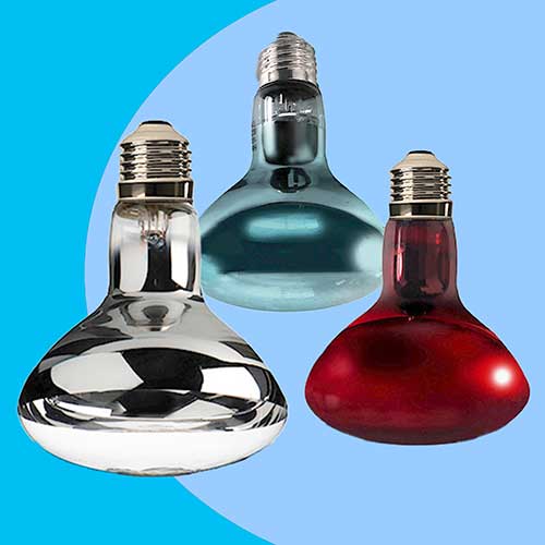 Reptile Basking Heat Lamps Light Emitting Heat Bulbs Serpentia