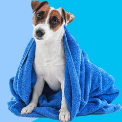 Toiletries For Dogs