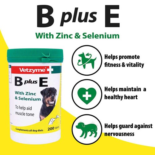 Vetzyme B plus E | Benefits