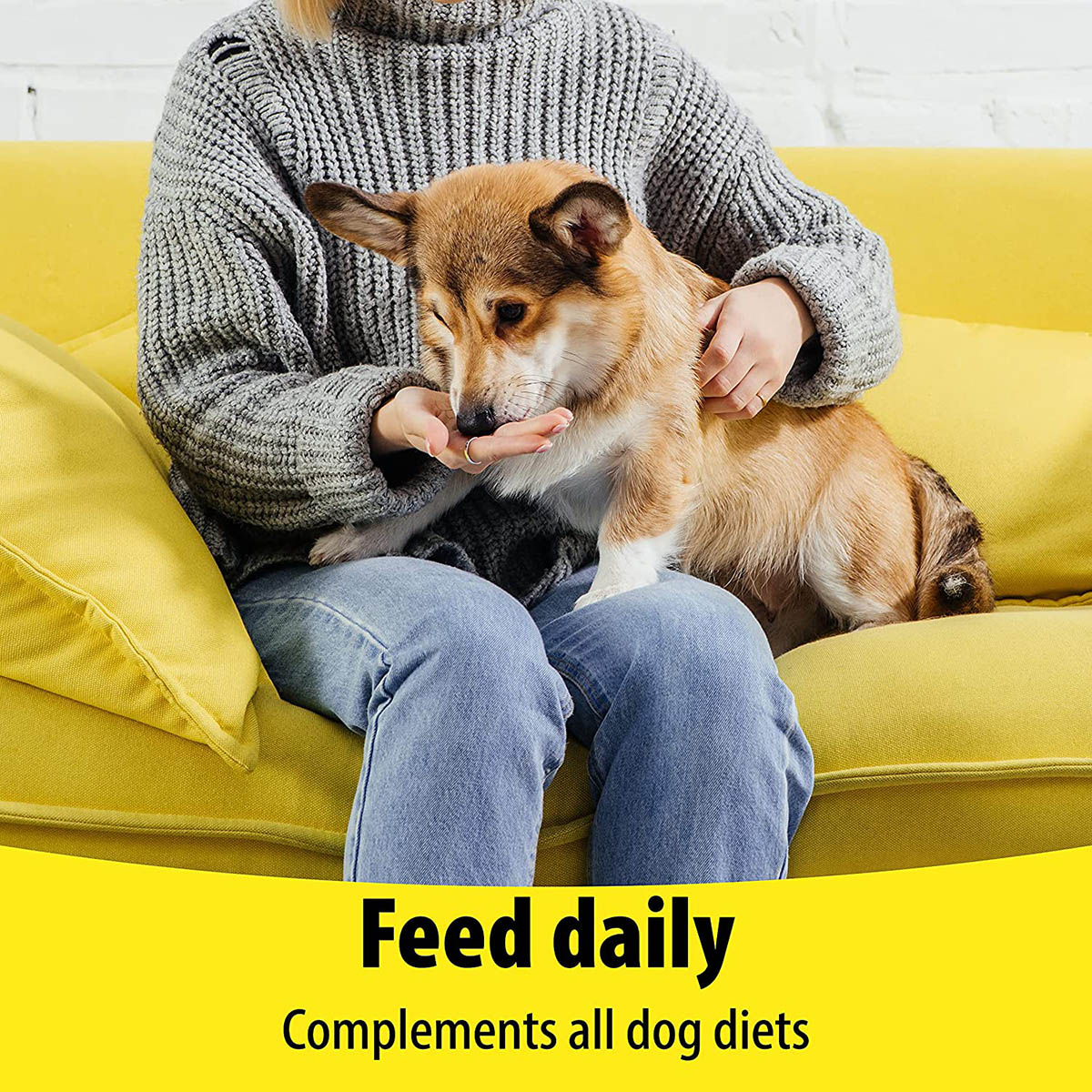 What Can I Feed A Dog With Dry Skin