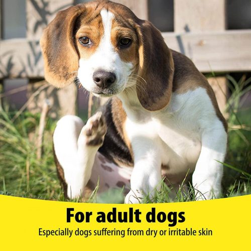 Vetzyme Dry Skin For Dogs