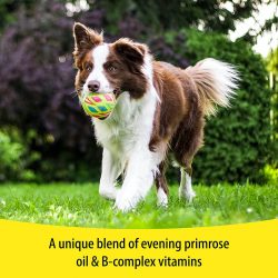 Vetzyme Dry Skin Tablets With Evening Primrose For Dogs
